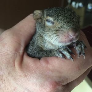 Meet your Posher, Anne